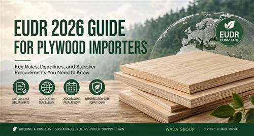 Cumu l'EUDR Rimodella l'Importazioni di Plywood In l'UE: Una Guida 2026